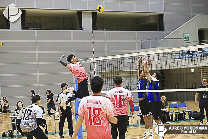 Vôlei